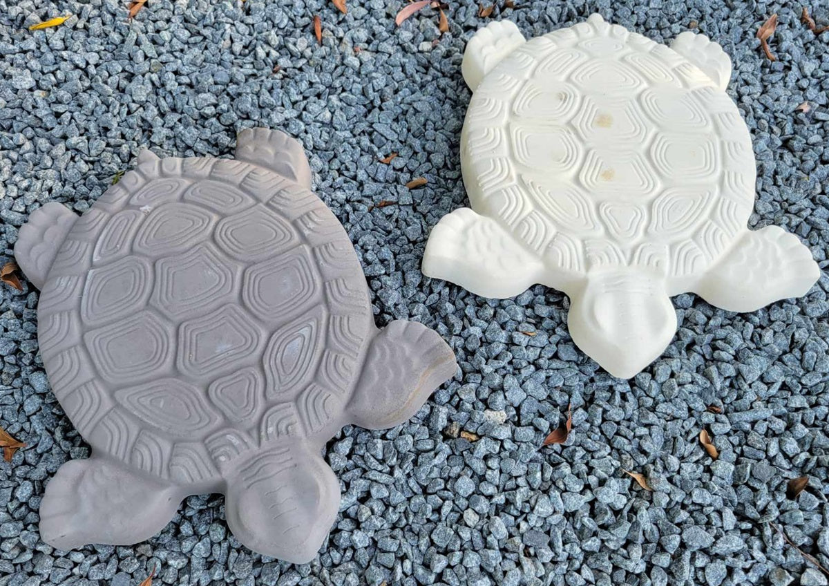 Turtle Stepping Stone