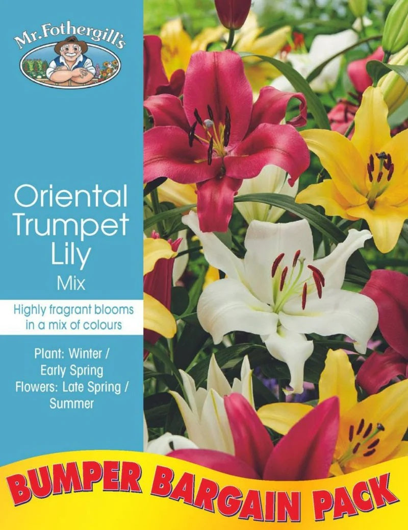 Bulbs E Oriental Trumpet Lily Mix Bumper