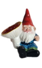 Gnome Garden Mushroom