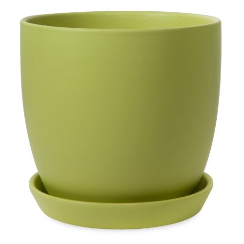 Tulip Pot With Saucer Peridot