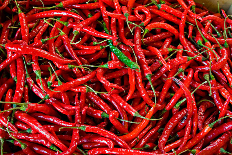 Chilli Pepper - THAI HOT - Capsicum annuum