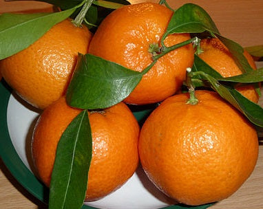 Citrus - Mandarin - MARISOL