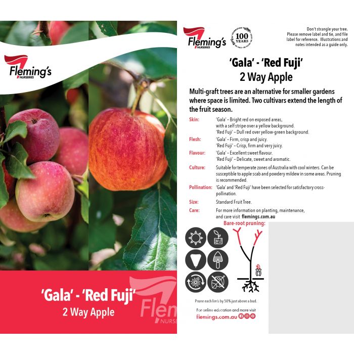 Malus domestica - 2-Way - GALA - RED FUJI - Apple