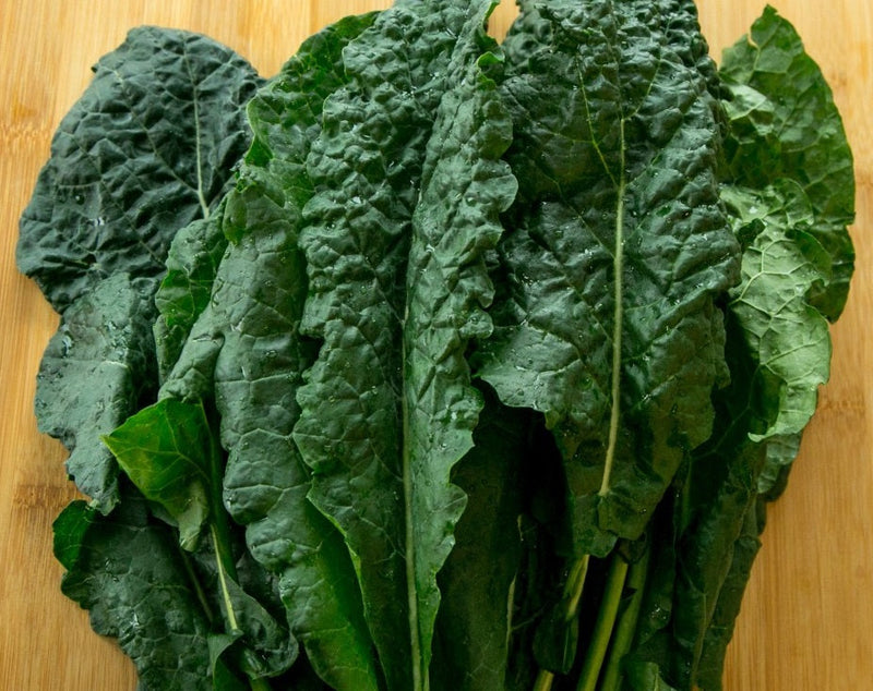 Kale Lacinato - BLACK TOSCANA - Brassica oleracea Acephala Group