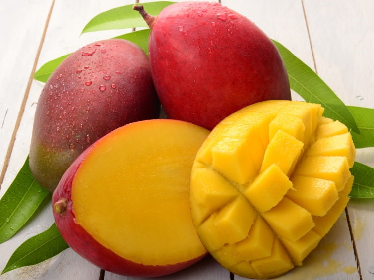 Mangifera indica - PALMER - Dwarf Grafted Mango