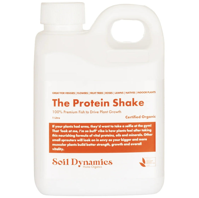 Protein Shake