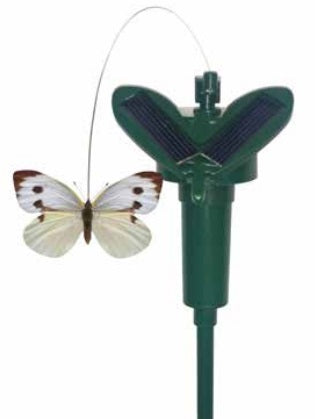 Solar Fluttering Butterfly White