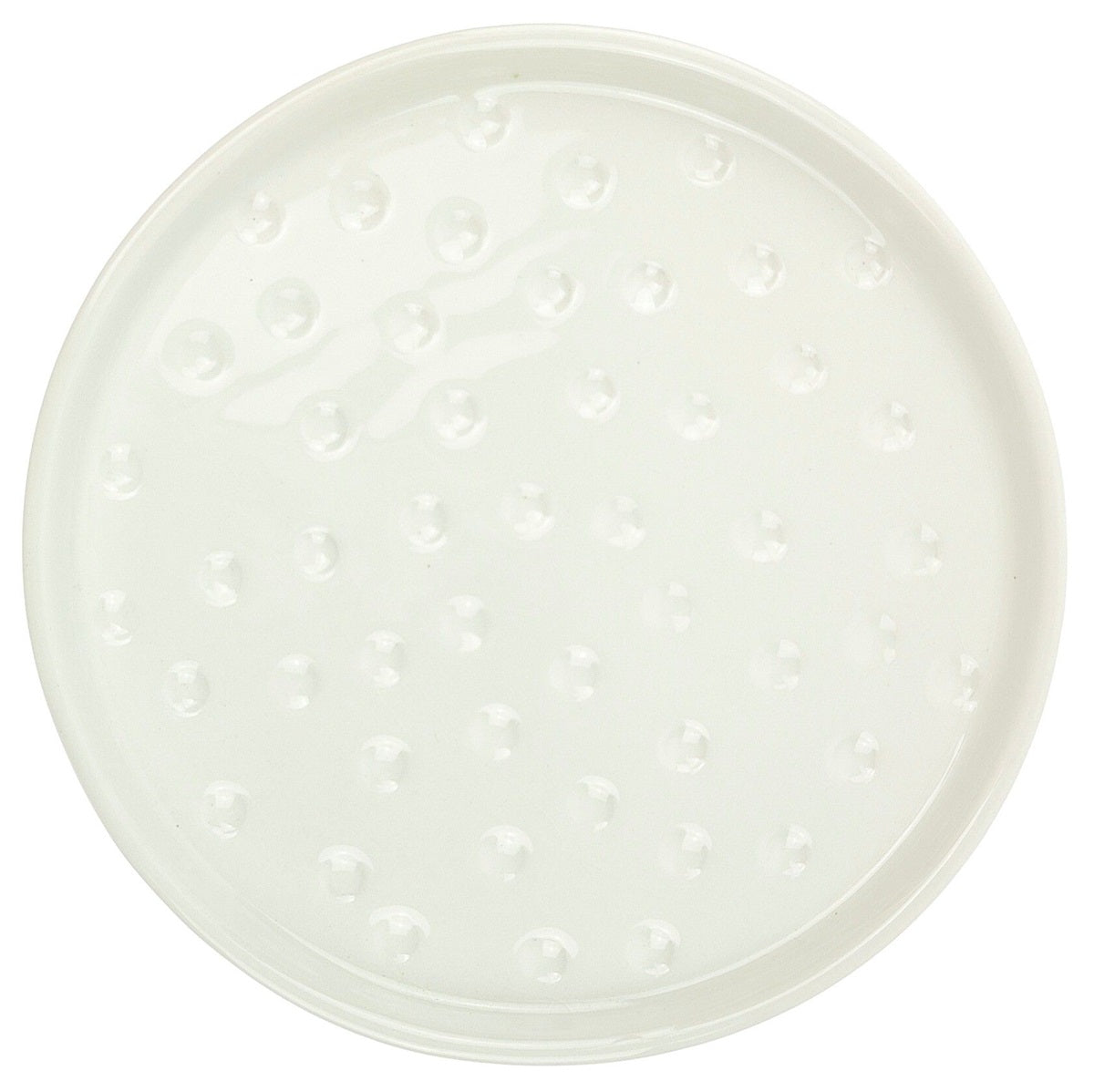 Spotted Saucer White