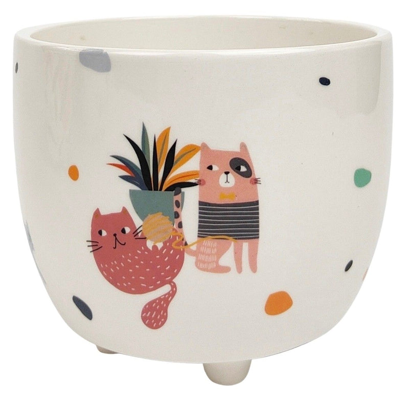 Quirky Cats Planter Colourful