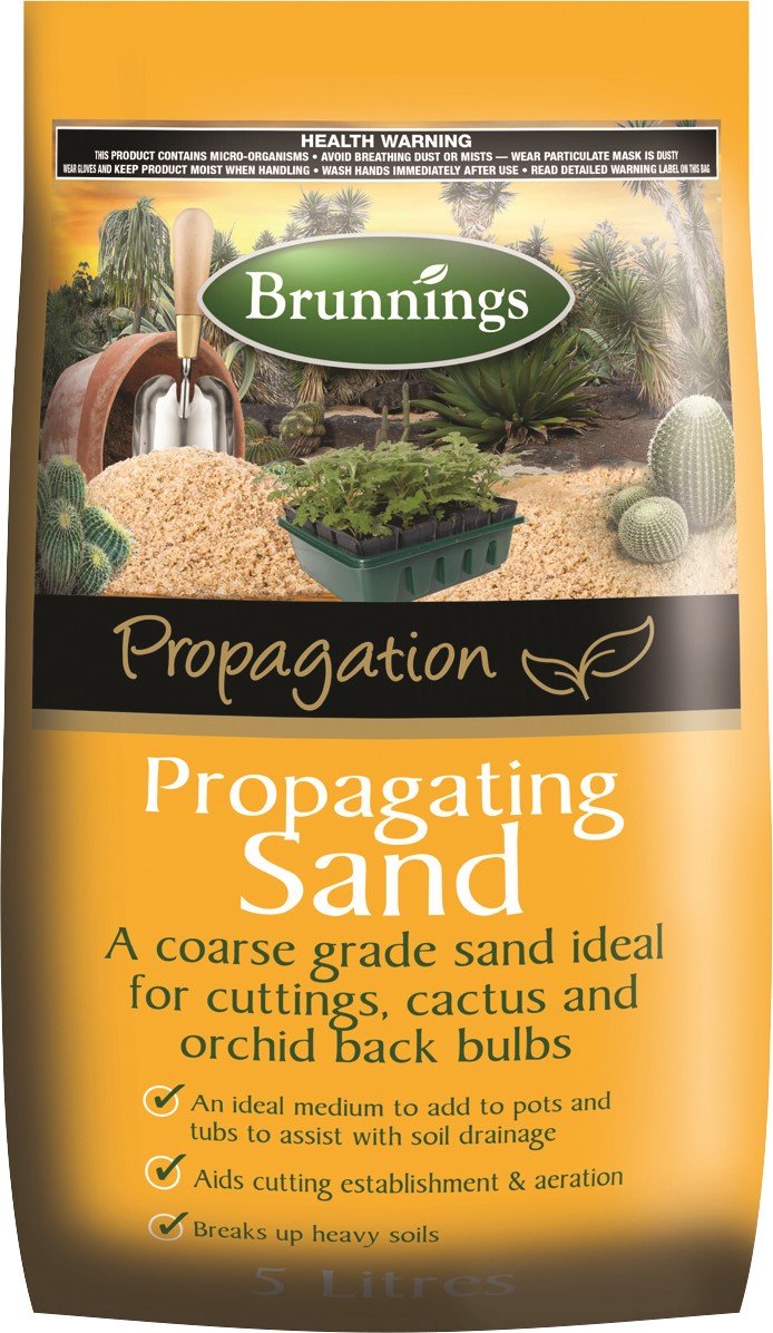 Propagating Sand