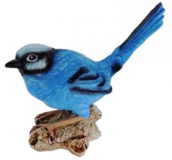 Blue Wren Facing Left