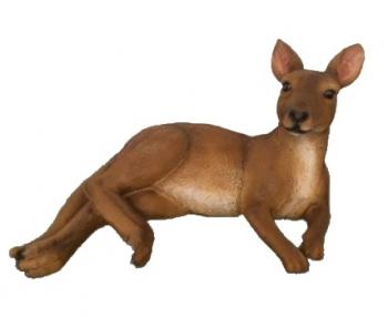 Kangaroo Laying Down