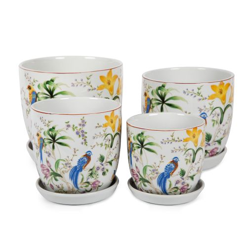 Tulip Pot With Saucer Tropical Bird