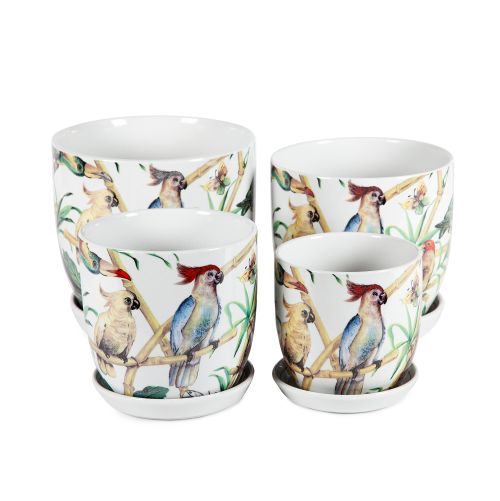 Tulip Pot With Saucer Birds