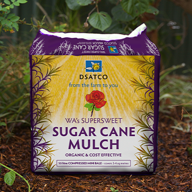 Sugar Cane Mulch