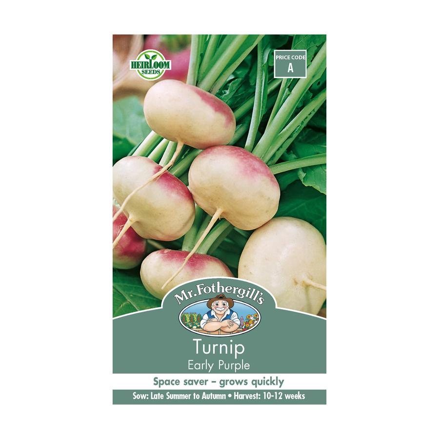 Seeds A Turnip Early Purple