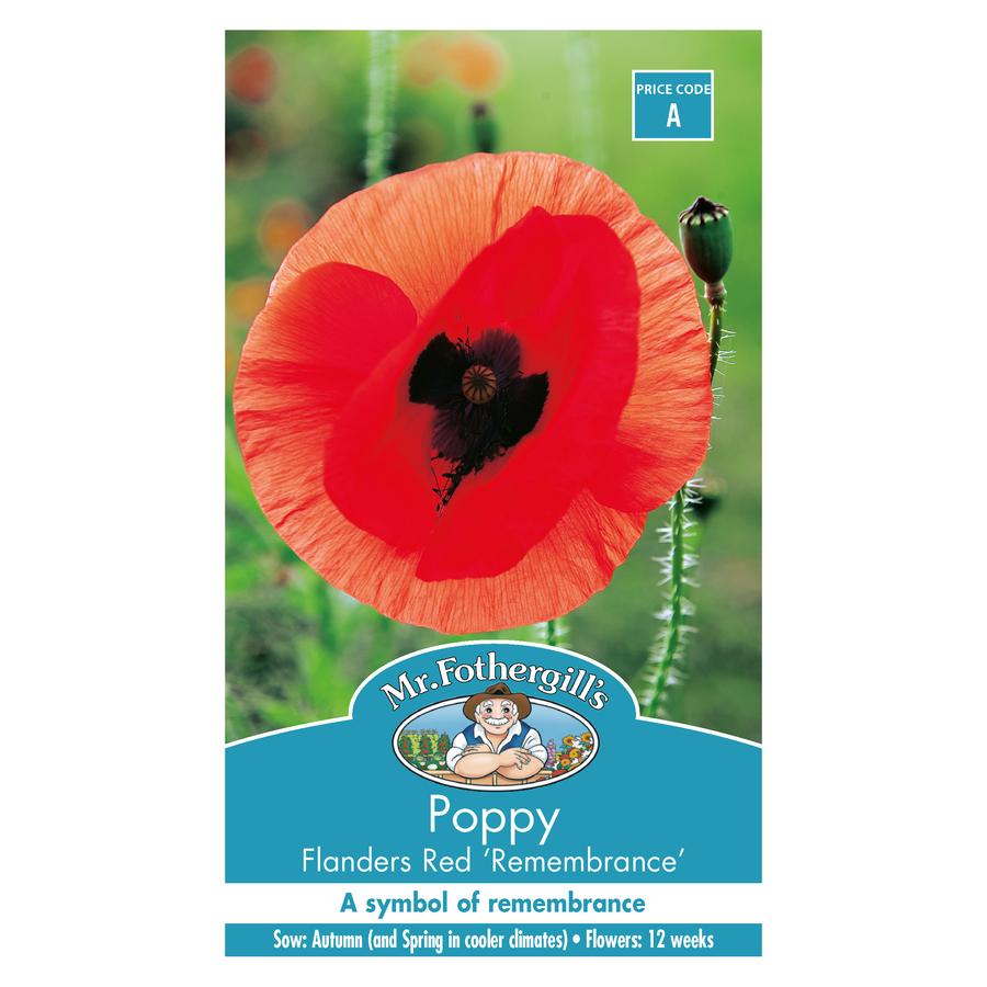 Seeds A Poppy Flanders Red Rememberance