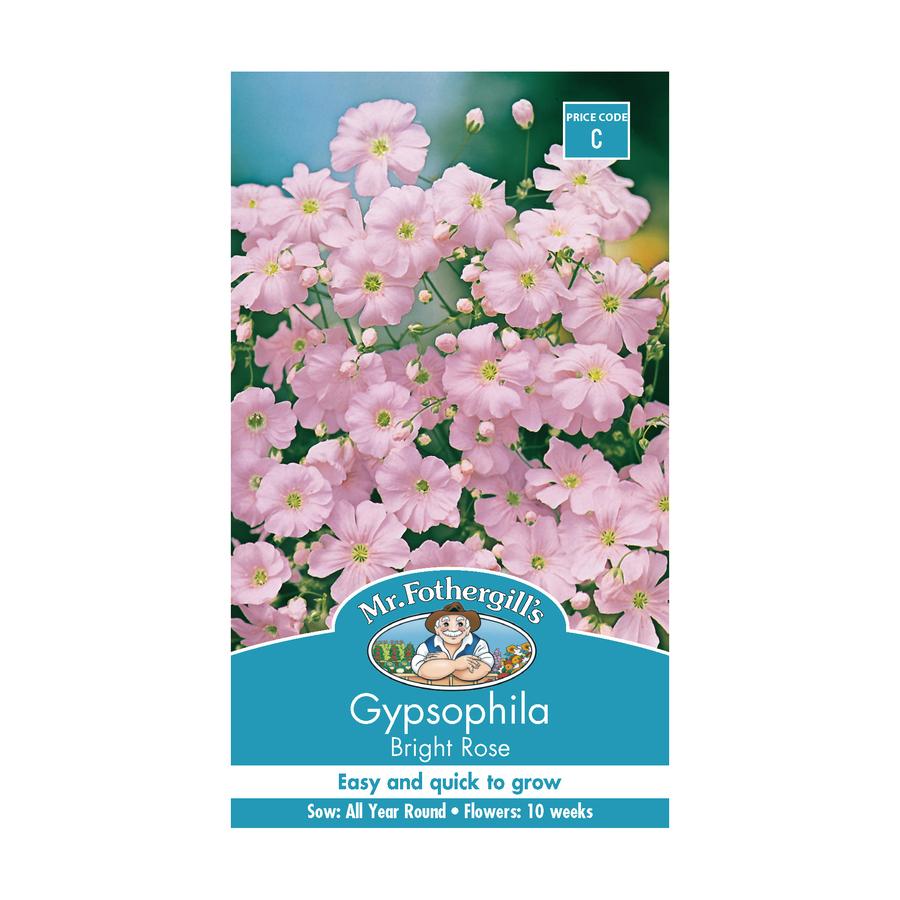 Seeds C Gypsophila Bright Rose