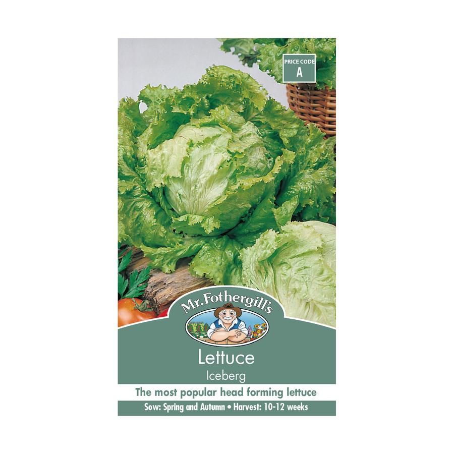 Seeds A Lettuce Iceberg