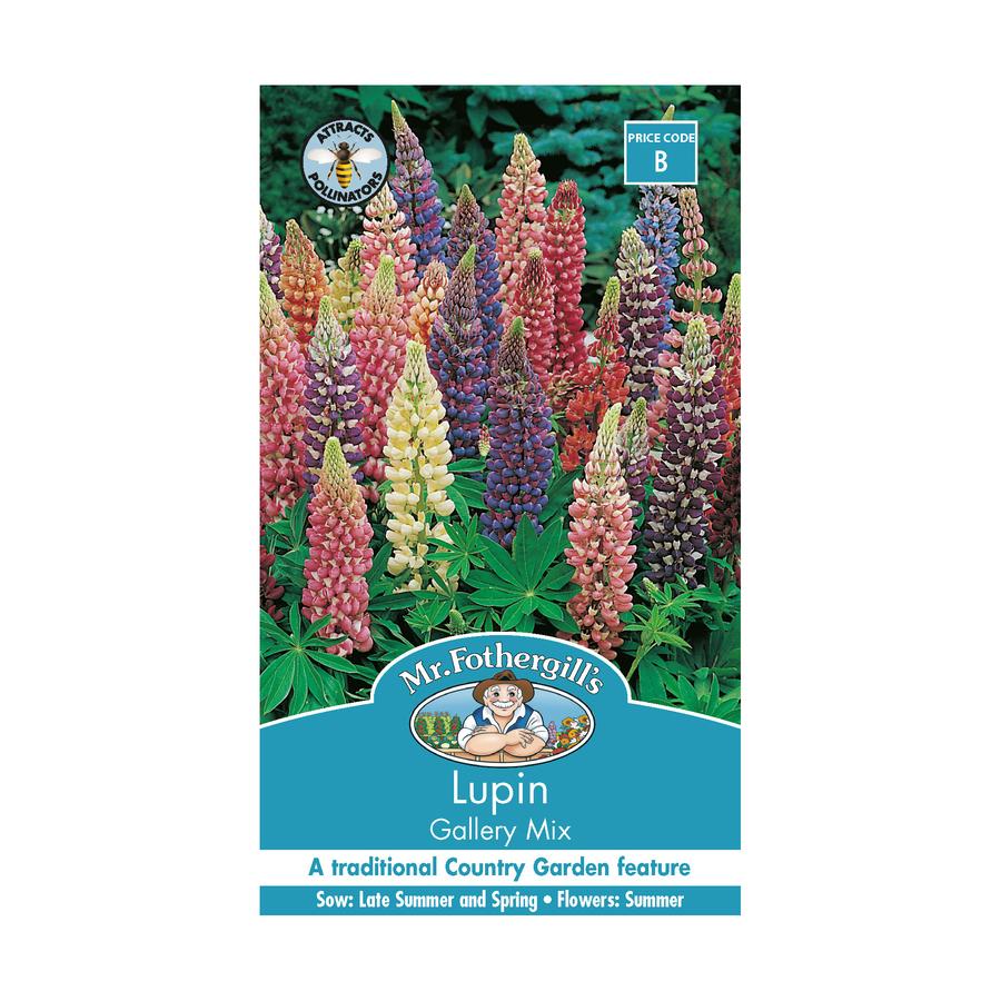 Seeds B Lupin Gallery Mixed