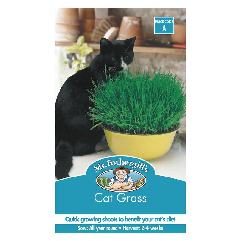 Seeds A Cat Grass