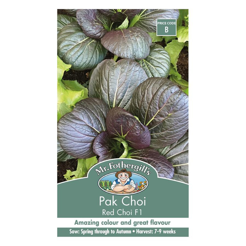 Seeds B Pak Choi Red Choi F1