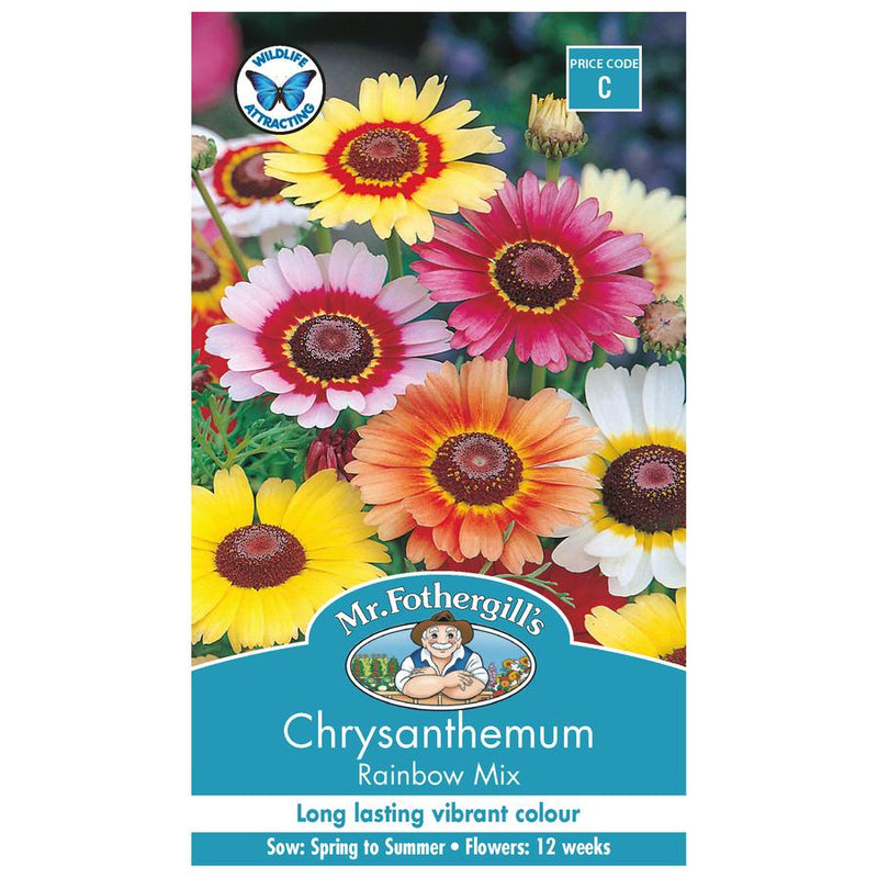 Seeds C Chrysanthemum Rainbow Mixed