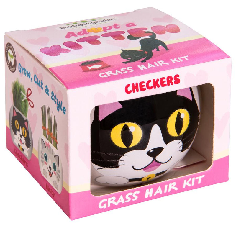 Grass Hair Kit Kitten Checkers