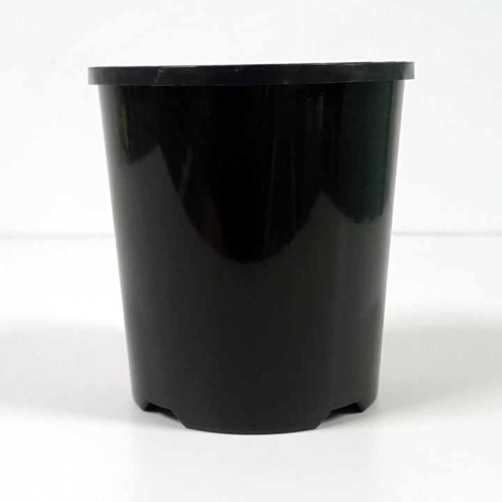 Plastic Pot Slimline Black