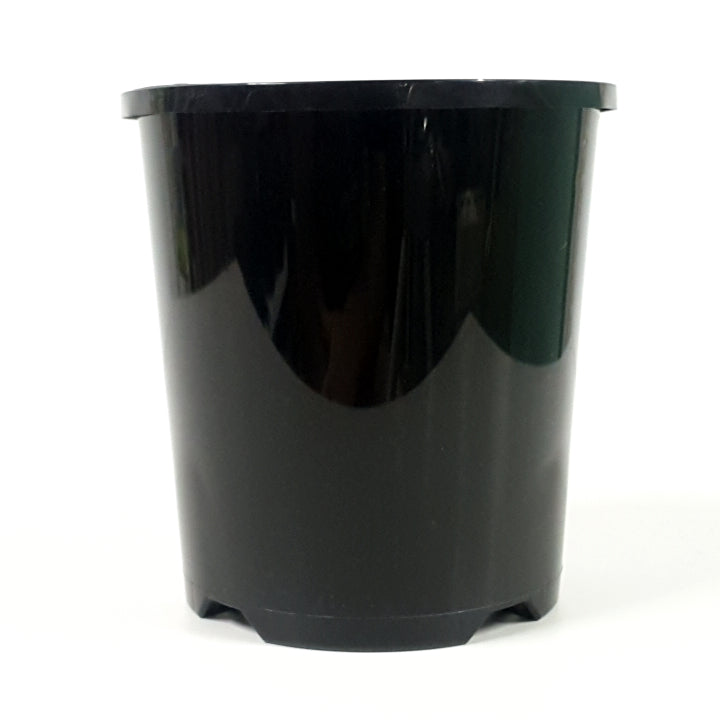 Plastic Pot Packwell Black