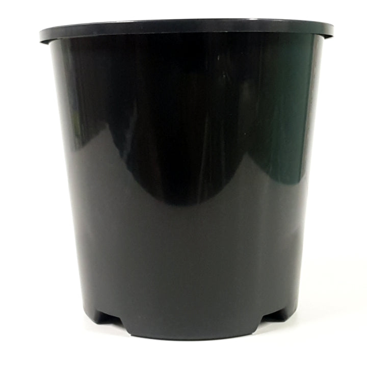 Plastic Pot Standard Black