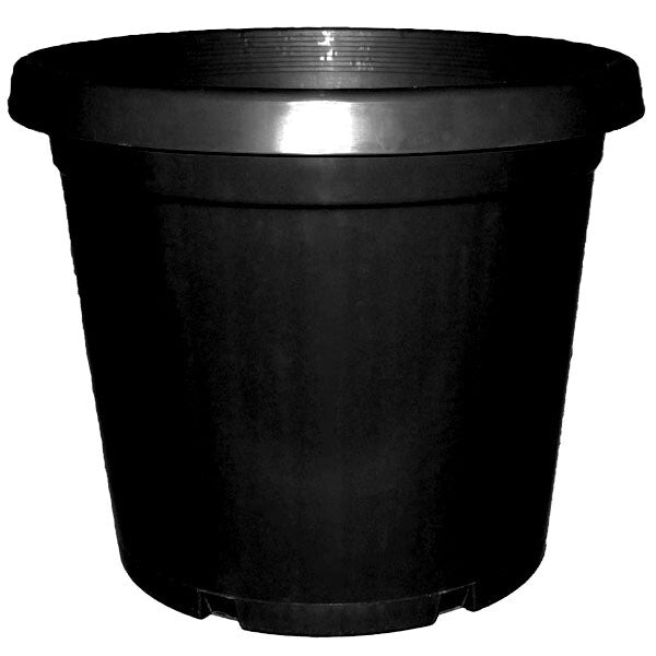 Plastic Pot Standard Black