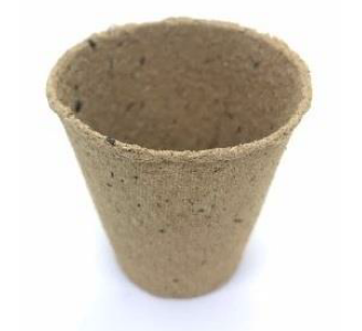 Biodegradable Pot