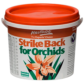 Neutrog Strike Back For Orchids