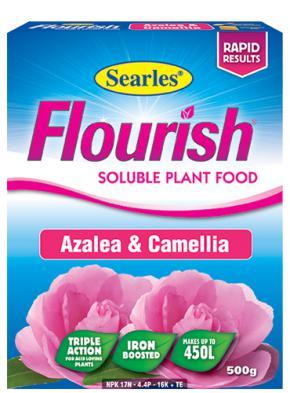 Searles Flourish - Azalea And Camellia