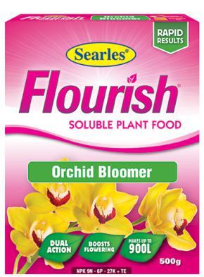 Searles Flourish - Orchid Bloomer