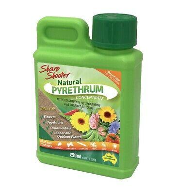 Sharp Shooter Pyrethrum Concentrate