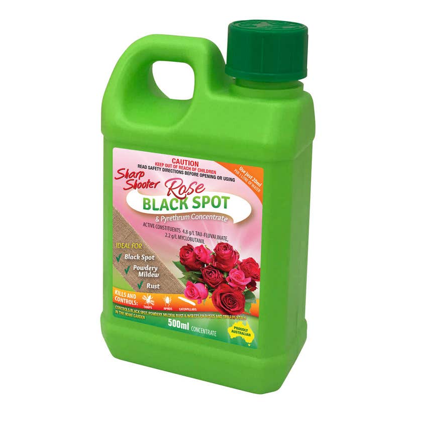 Sharp Shooter Rose Black Spot And Insect Spray Concentrate