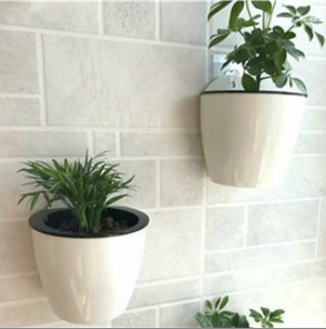 Self Watering Wall Pot