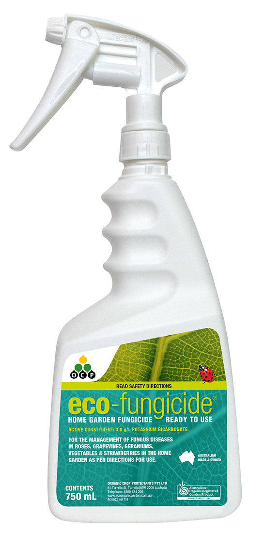 Eco Fungicide Ready-To-Use