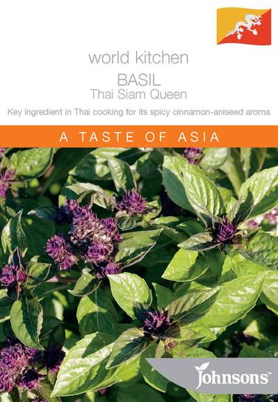 Seeds B World Kitchen Basil Siam Queen