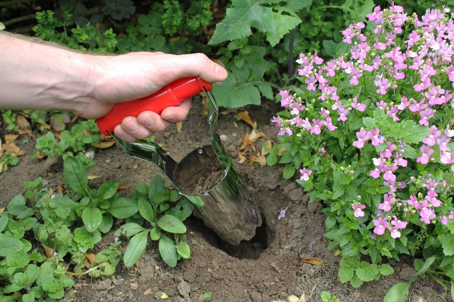 Darlac Bulb Planter