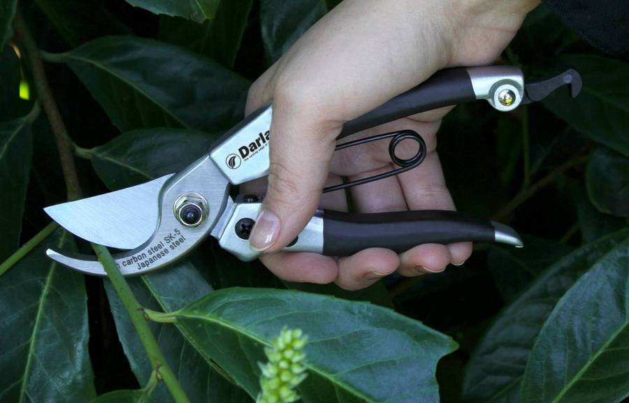 Darlac Compact Pruner