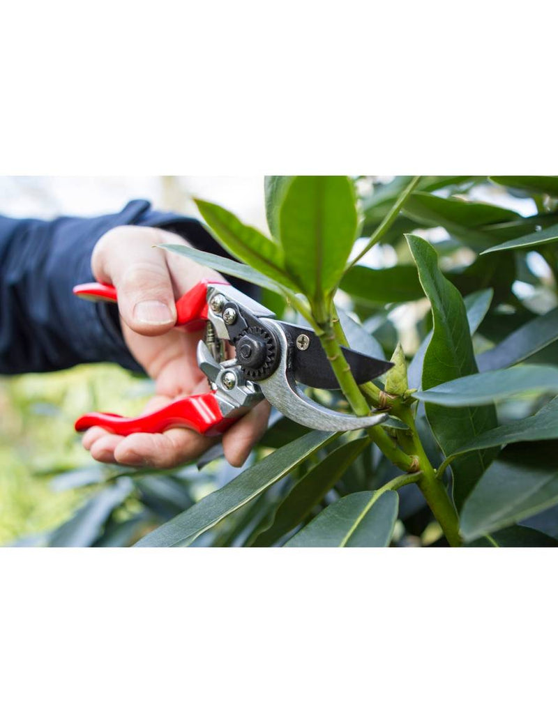 Darlac Professional Left Handed Pruner