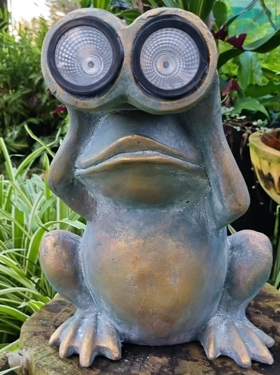 Binocular Frog