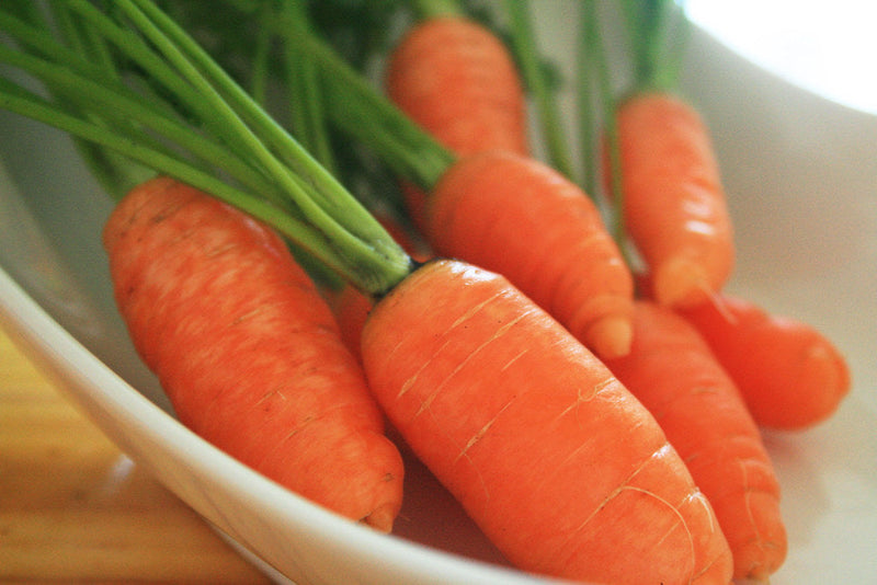 Carrot - BABY - Daucus carota sativus