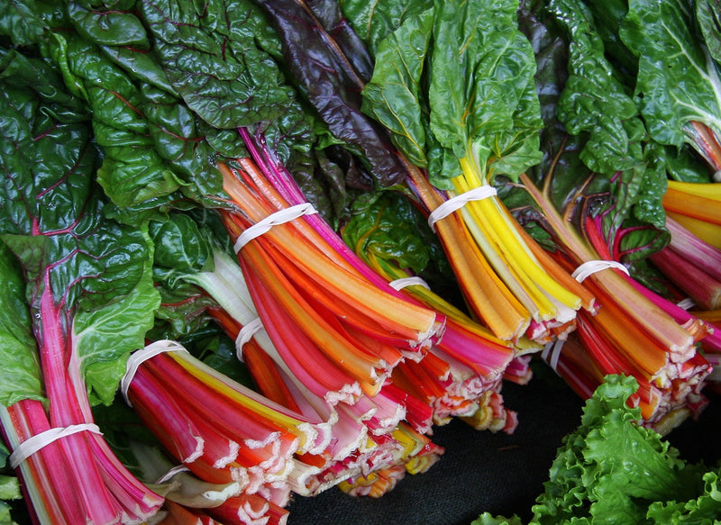 Silverbeet Swiss Chard - RAINBOW - Beta vulgaris