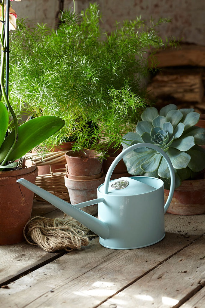 Sophie Conran Indoor Watering Can Blue