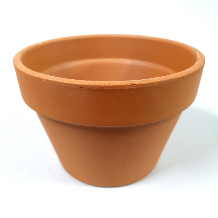 Mezzo Terracotta Squat Pot