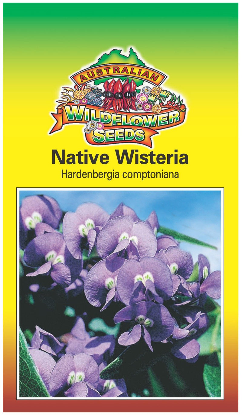 Seeds Hardenbergia comptoniana - Native Wisteria